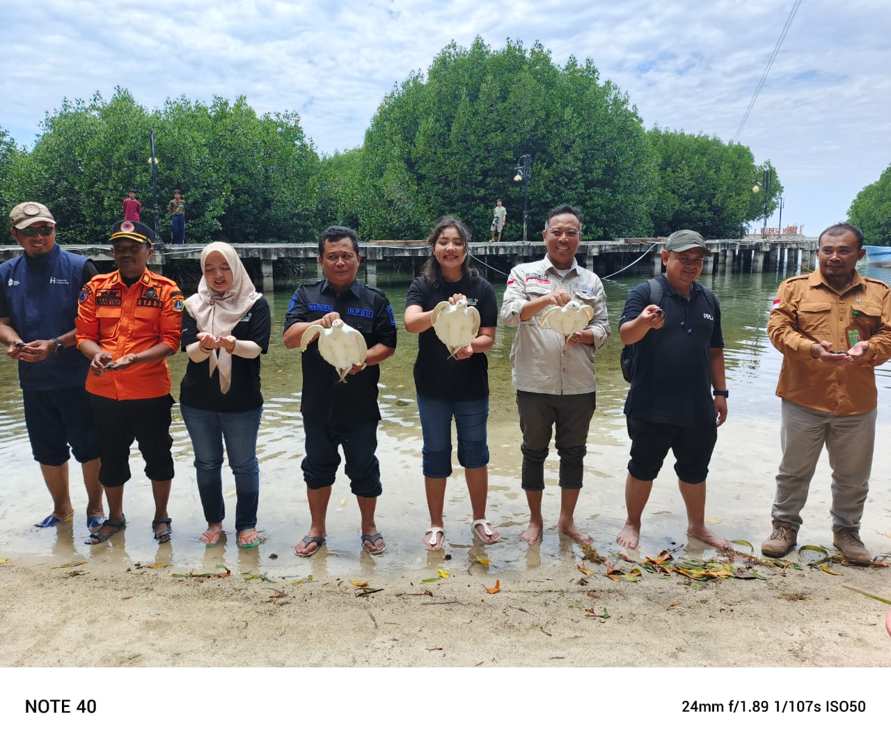 Peringati Hari Ozon dan Bulan Konsevasi, PPLI Gandeng BPBD DKI, Taman Nasional KS, Squad PBI, AJPLI dan Indonesia CARE Lepas Penyu dan Tanam Mangrove